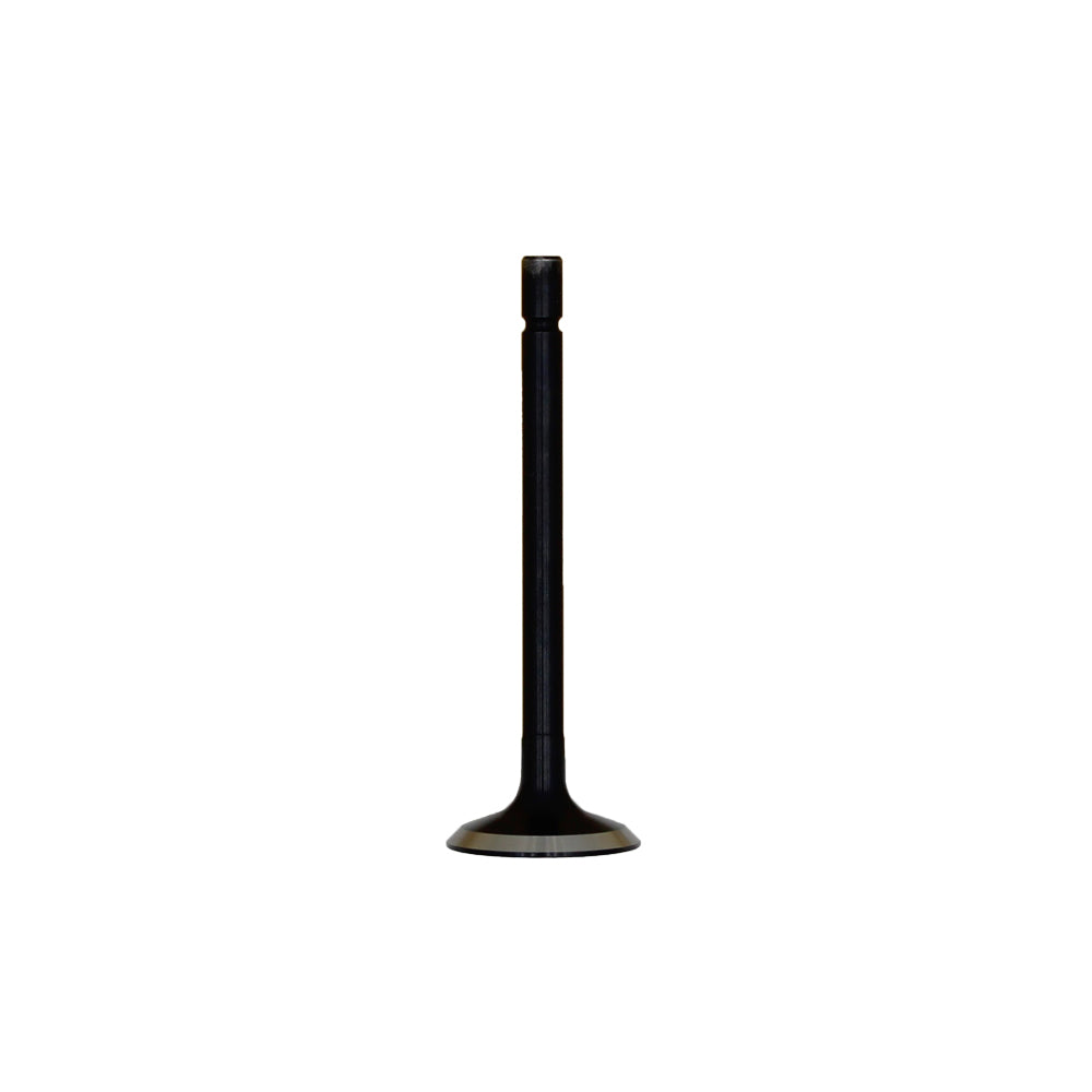 Exhaust Valve Fits Ford Replaces 120176360