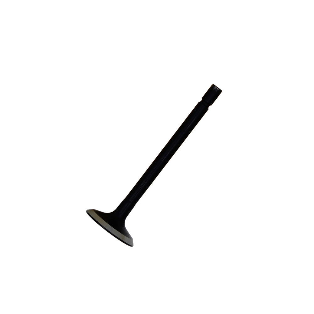 Exhaust Valve Fits Ford/New Holland Replaces 120176360