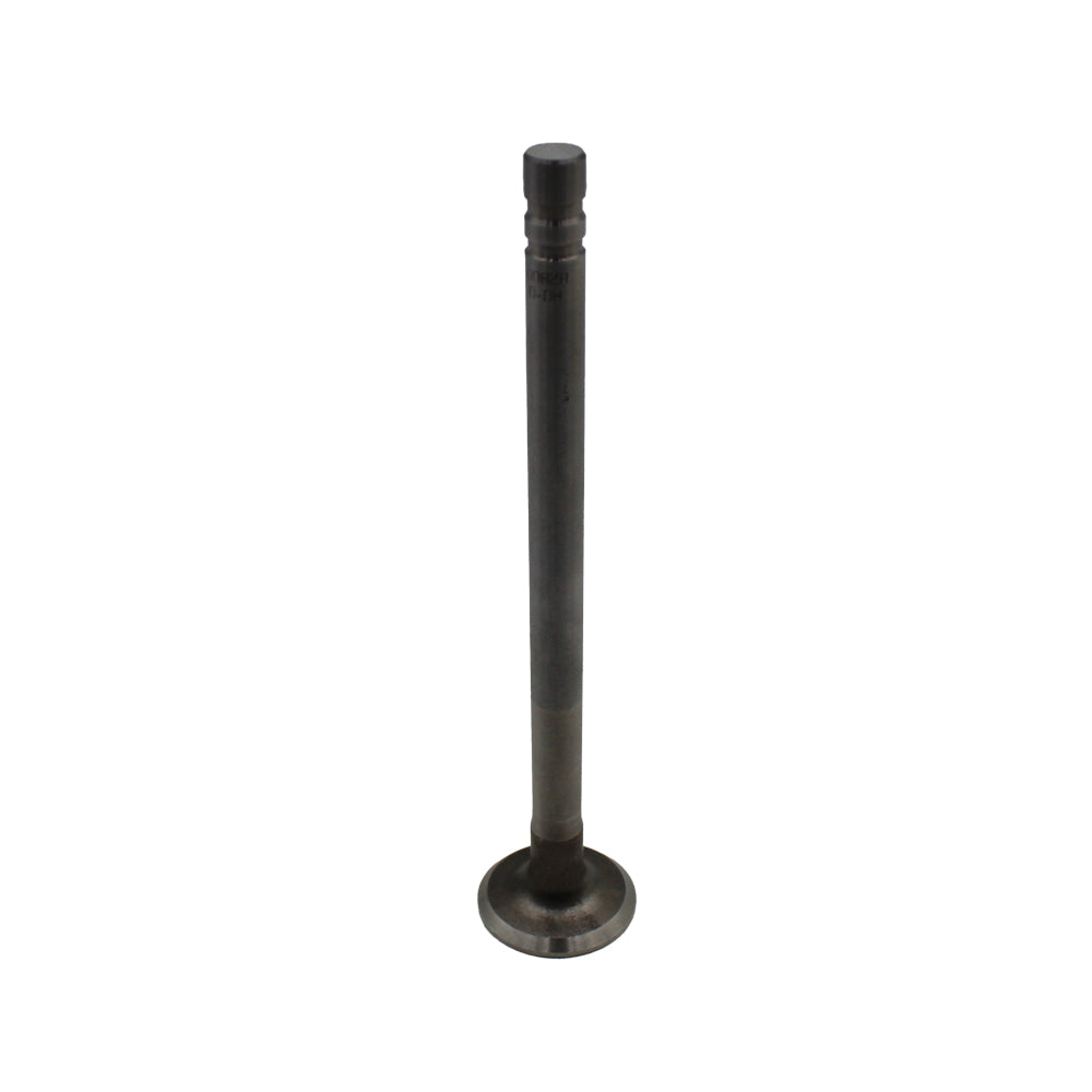 Intake Valve - 1.250" Fits White Replaces 107299A