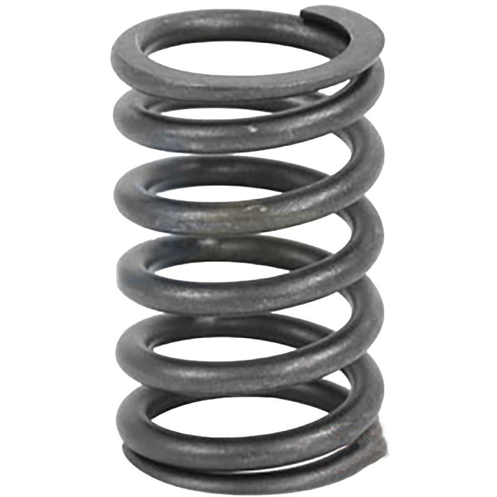 Valve Spring Fits Models R26125 R26125-A VPA2022