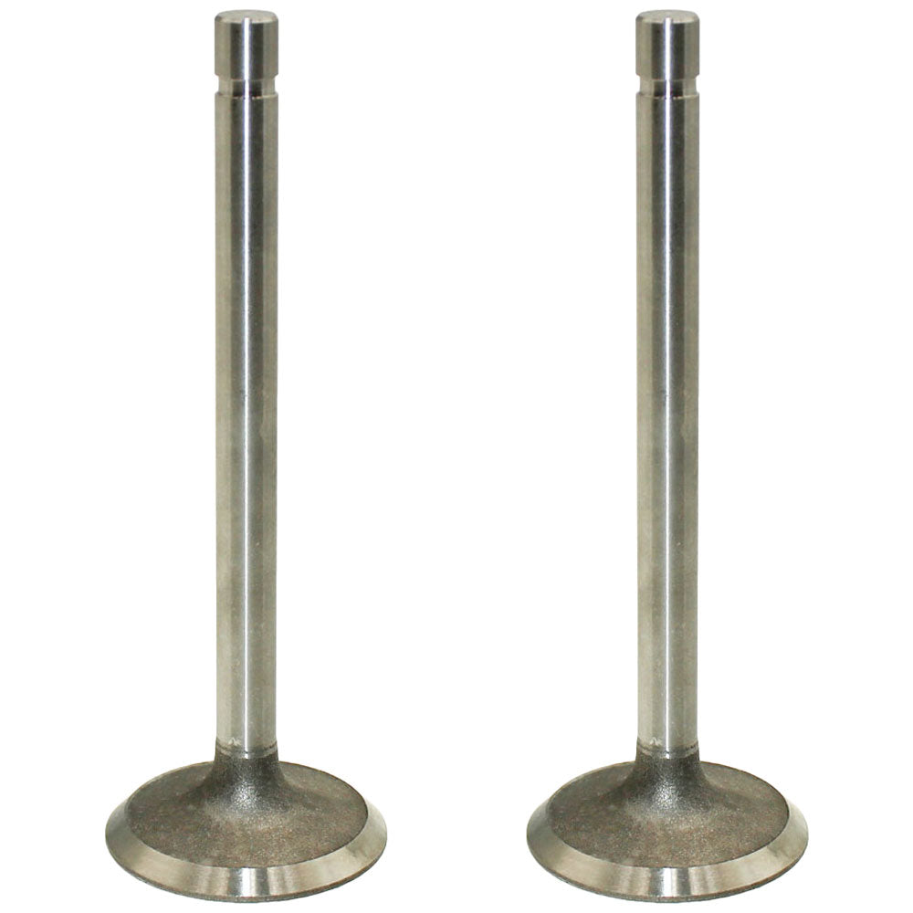 Set of Two R52251 Intake Valves Fits John Deere 3300 499 7440 2270 244E 3120
