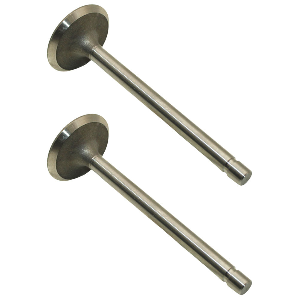 Two Standard Intake Valves R79623 Fits John Deere 3029D 4.202 4.219 4.239D 6.329