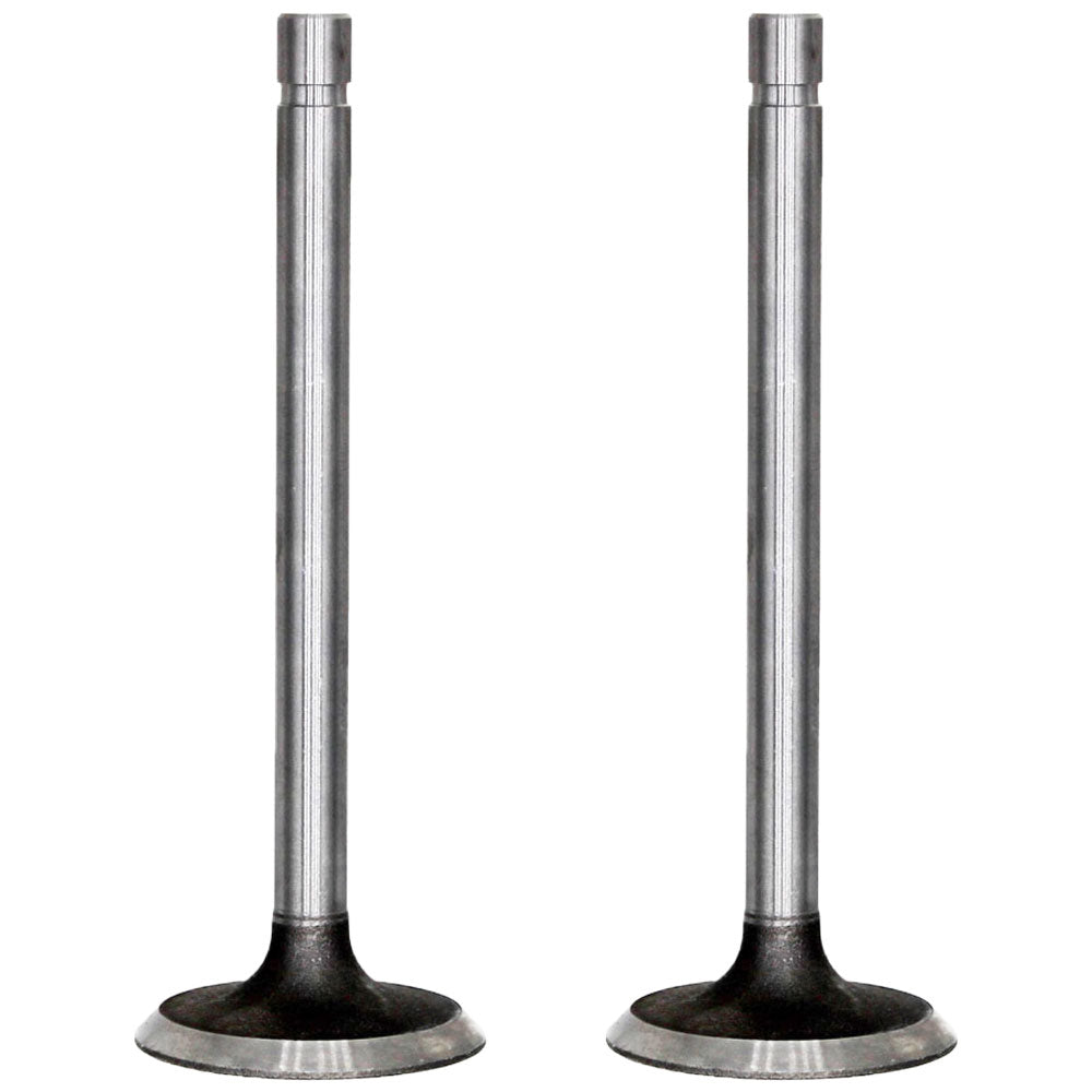 Qty 2: Standard Intake Valve  Fits John Deere Replaces R52251