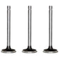 Set of Three R52251 Intake Valves Fits John Deere 3300 499 7440 2270 244E 3120