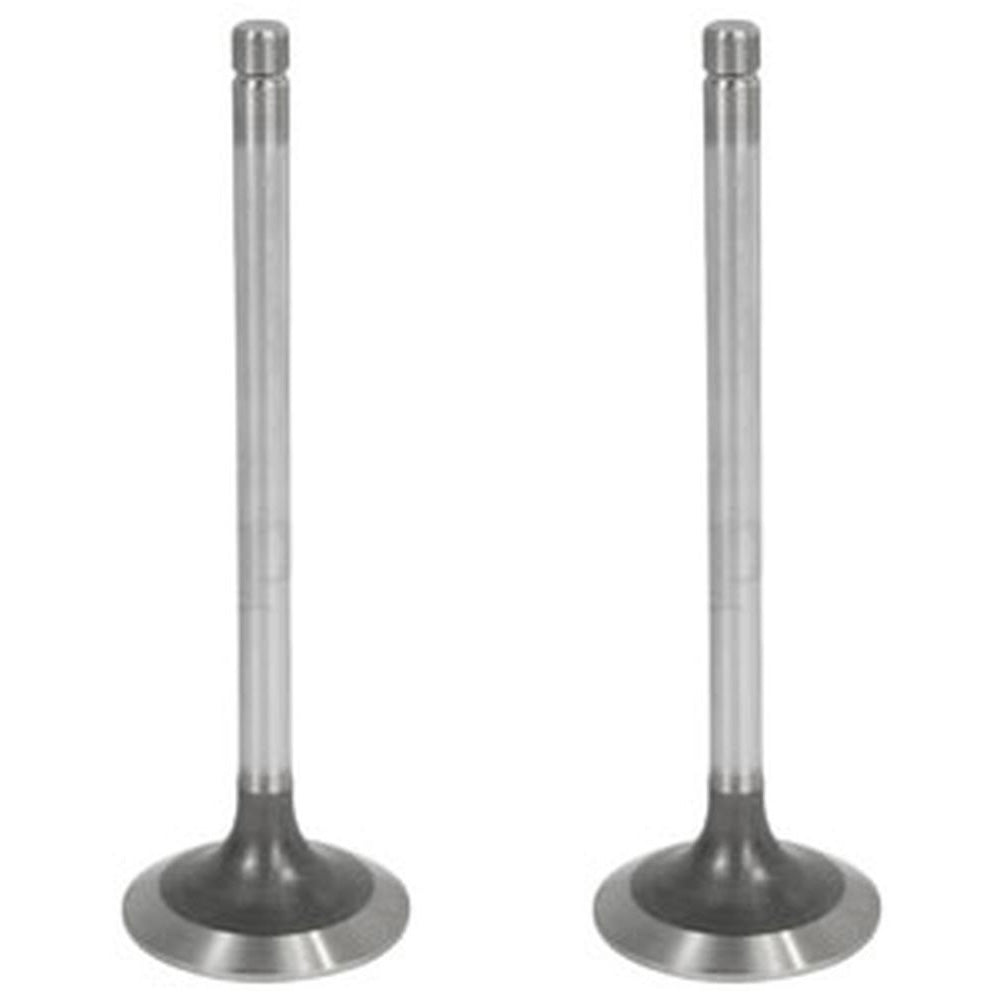 Qty 2: Standard Exhaust Valve Fits John Deere Replaces R90692