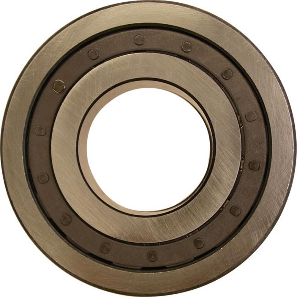 IPTO Output Shaft Bearing