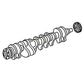 WN-RG23551-PEX Crankshaft, 6 Cylinder, Diesel Fits John Deere 6610 7700 7800
