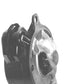 Starter — "FORD MARINE 4.5"" 9T CCW" Fits Mercruiser Replaces ROM3143N-USA