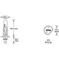 S.109974 Plough Bulb, 12V, 55W Watts, P14.5s Base Fits Fiat