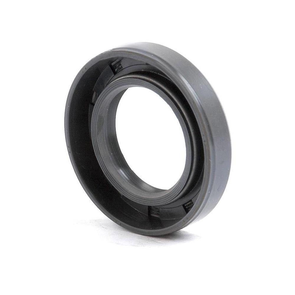 S.50242 Double Lip Seal, 30 x 50 x 10mm