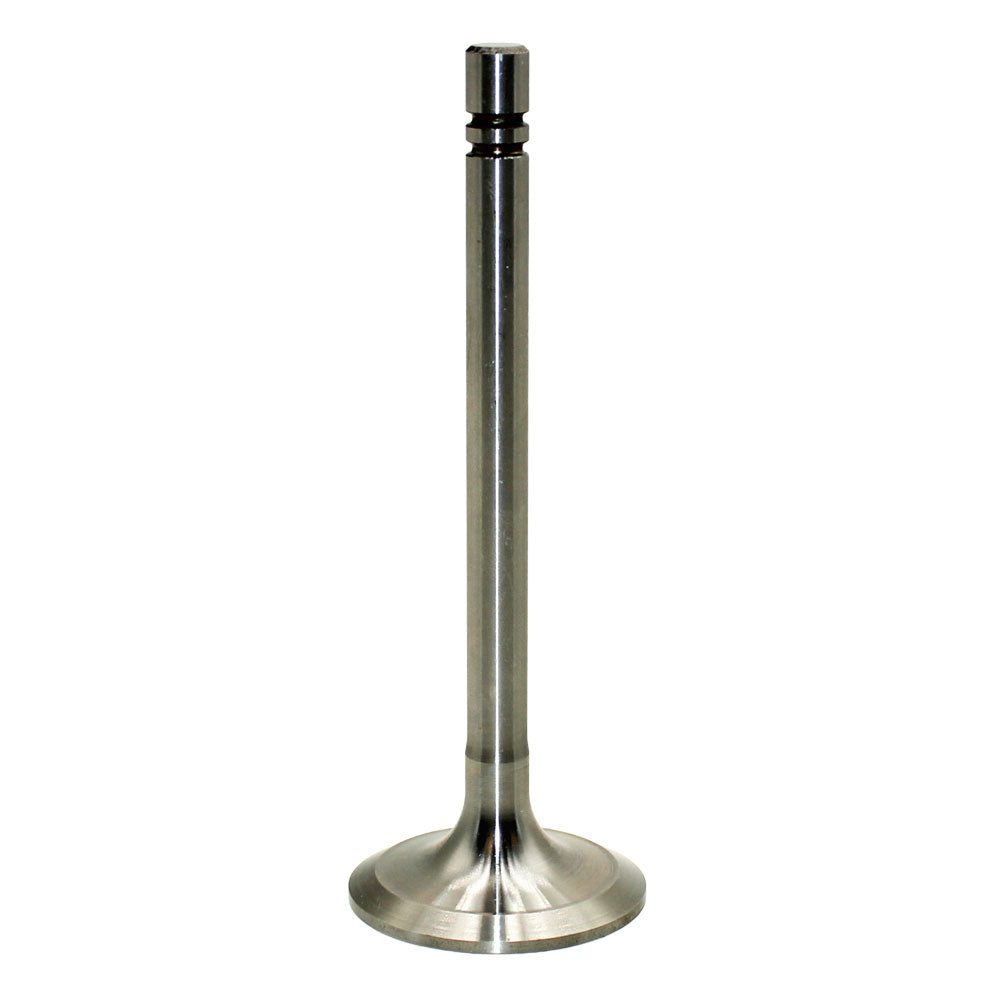 Intake Valve Fits John Deere 600 1010 2010 55 65 95 105 600 700 45 215 T12356
