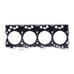 WN-2830920-PEX Cylinder Head Gasket Fits International/CaseIH 430 445 450 465